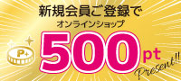 新規会員登録500ポイントプレゼント