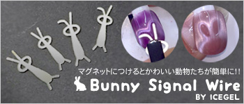 ICEGEL 6月新商品