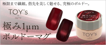 TOY’s×INITY 極み1ミクロン ボルドーマグ