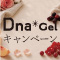Dna Gel 発売記念キャンペーン ２０％ＯＦＦ