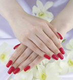 検定対策!ケア・カラー・赤ポリセミナー①部