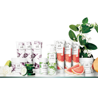 CND新スパラインセミナー