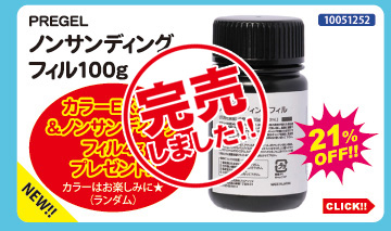 目玉商品 PREGEL ノンサンディングフィル100g＋プレゼント付