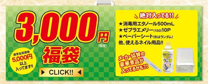 ライフ 3000円福袋