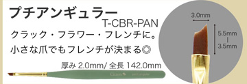 Citron プチアンギュラー