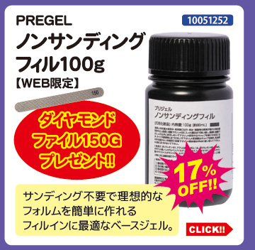 目玉商品 PREGEL ノンサンディングフィル100g＋プレゼント付