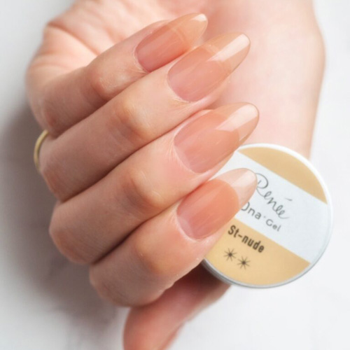 生産完了商品 DNAジェル ベース25g&トップジェル25g