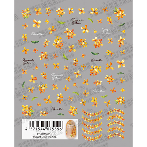 Fragrant Olive(金木犀)