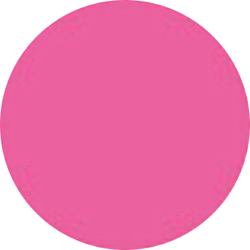 カラーパウダー 4g ピンク