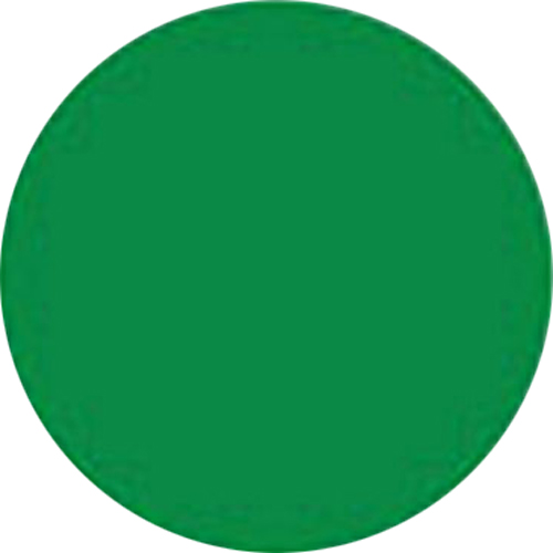カラーパウダー 4g グリーン