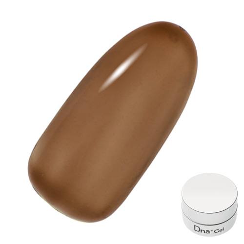 カラージェル C16 2.5g カラチャ