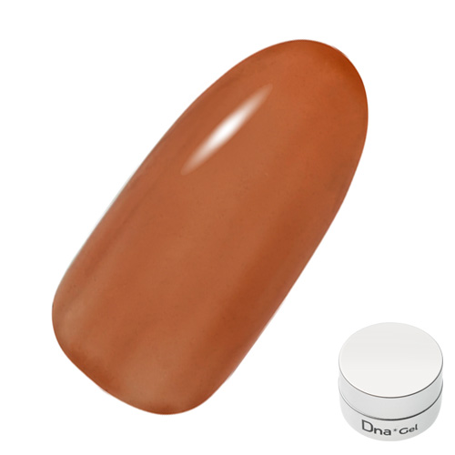カラージェル C17 2.5g カキシブ