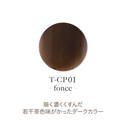 アクリルカラーパウダー T-CP01 フォンセ 7g