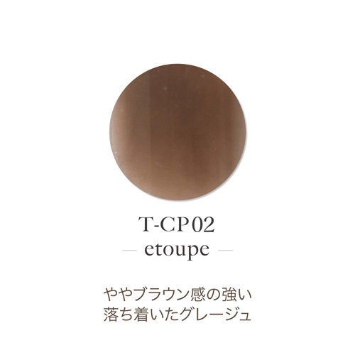 アクリルカラーパウダー T-CP02 エトープ 7g