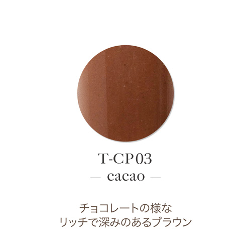 アクリルカラーパウダー T-CP03 カカオ 7g