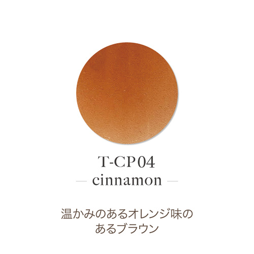アクリルカラーパウダー T-CP04 シナモン 7g
