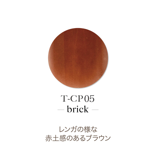 アクリルカラーパウダー T-CP05 ブリック 7g