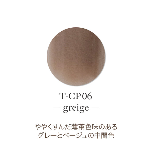 アクリルカラーパウダー T-CP06 グレージュ 7g