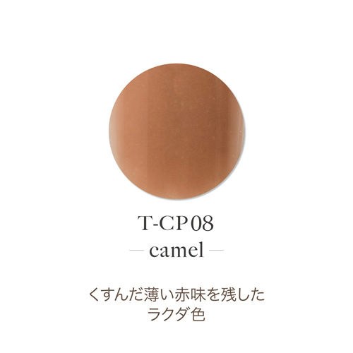 アクリルカラーパウダー T-CP08 キャラメル 7g
