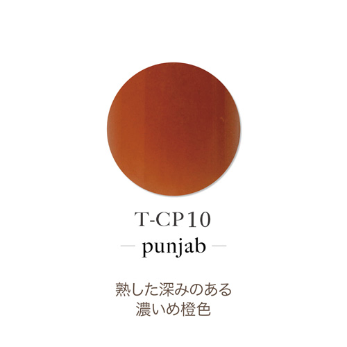 アクリルカラーパウダー T-CP10 パンジャブ 7g