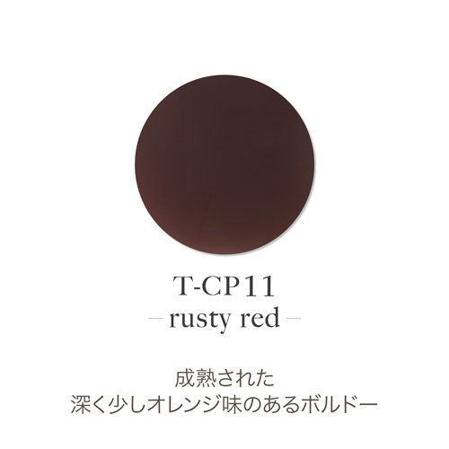 アクリルカラーパウダー T-CP11 ラスティーレッド 7g