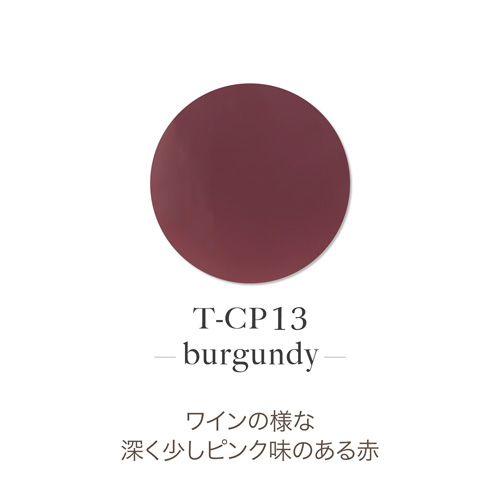 アクリルカラーパウダー T-CP13 バーガンディ 7g