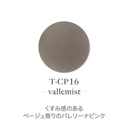 アクリルカラーパウダー T-CP16 バレミスト 7g