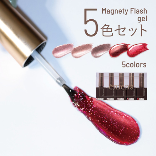 マグネティフラッシュ5色セット 1305～1309