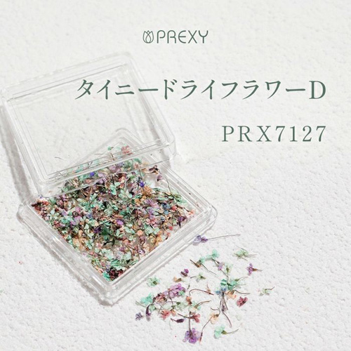 PREXY タイニードライフラワー D