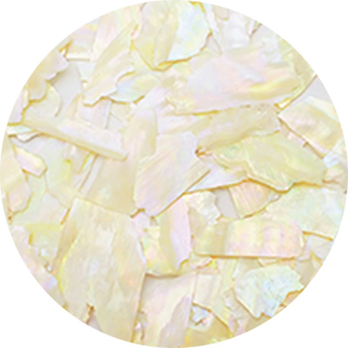 ナチュラルビーチシェル BZ10 アイボリオパール 約2g