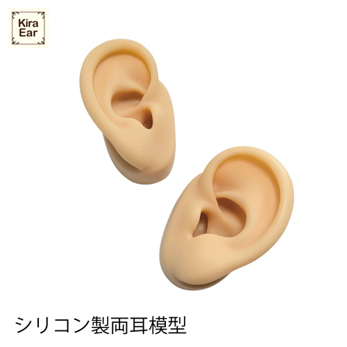 シリコン製両耳模型