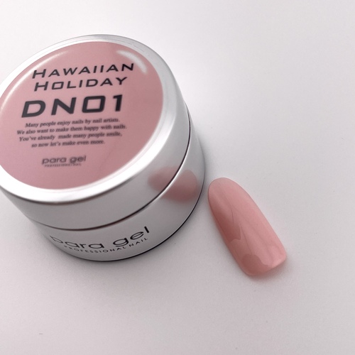 デザイナーズラインカラー DN01 4g ハワイアンホリデー
