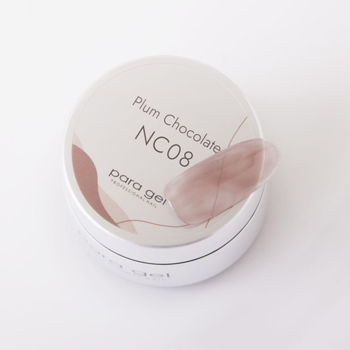 カラージェル NC08 4g プラムチョコレート