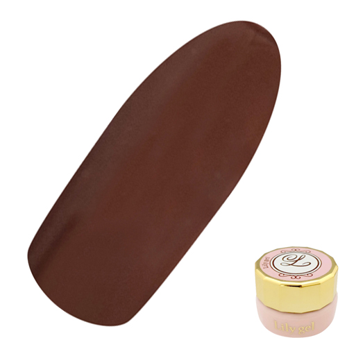 カラージェル ＃070 3g ホットチョコレート