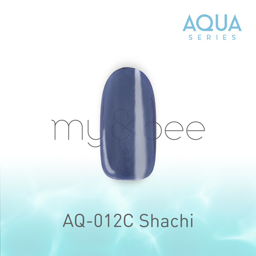 カラージェル AQ-012C しゃち 2.5g
