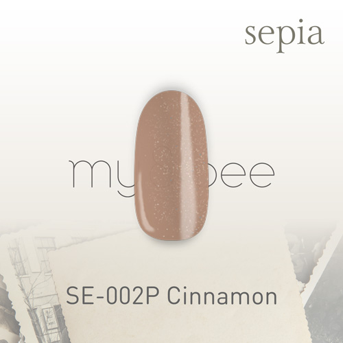 カラージェル SE-002P シナモン 2.5g