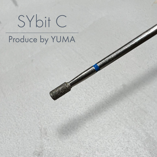 SYビット C