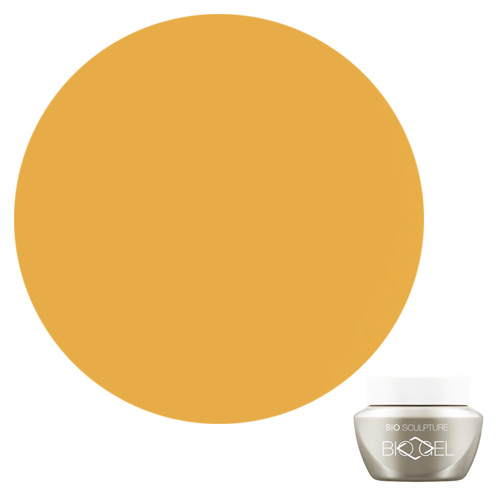 カラージェルN2 #309 4.5g Golden Hour