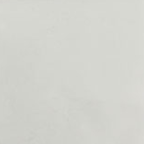 カラーパウダー 透明顔料 #900 スノーホワイト 2g