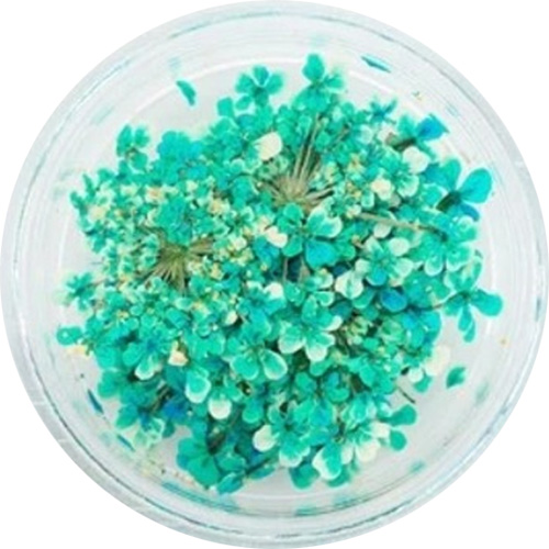 レースフラワー 13.Turquoise