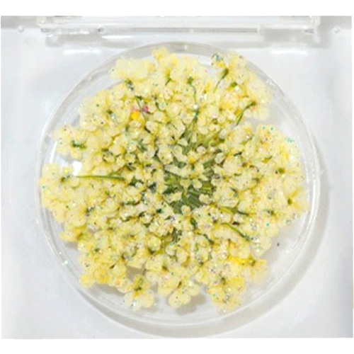 レースフラワー グリッター 2.Glitter Light Yellow