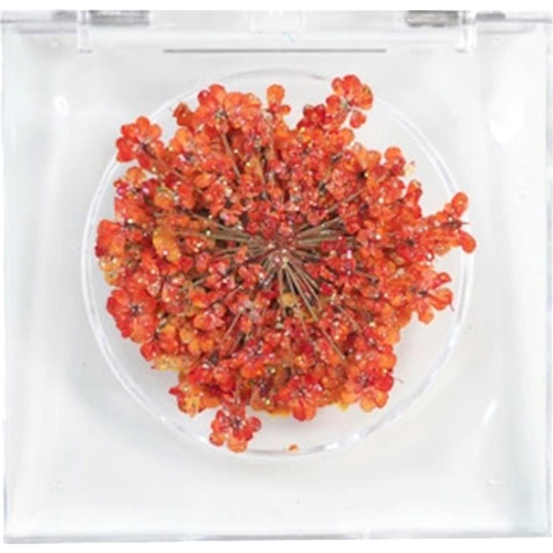 レースフラワー グリッター 11.Glitter Orange