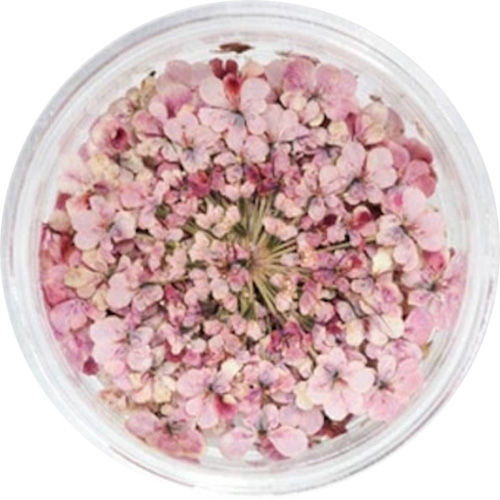 レースフラワー 41.Mauve Pink