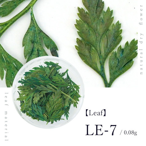 リーフ LE-7