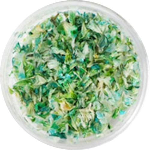 花びら 10.Green