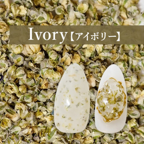 フラワーモチーフパウダー Ivory