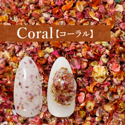フラワーモチーフパウダー Coral