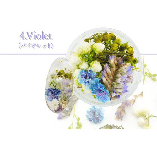 フルレット1 4.Violet