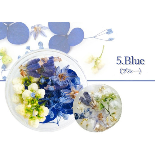 フルレット1 5.Blue
