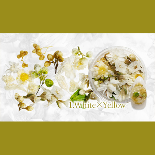 フルレット2 1.White×Yellow
